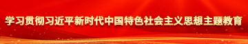 高清近距离鸡巴视频网站学习贯彻习近平新时代中国特色社会主义思想主题教育